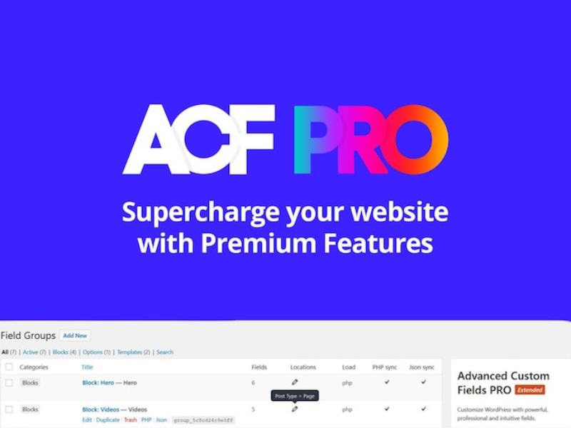 ACF Pro + ACF Extended Pro