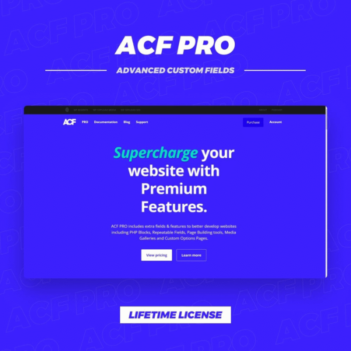 ACF Pro ACF Extended Pro 1