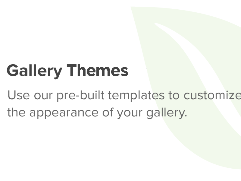 Envira Gallery Gallery Themes Addon