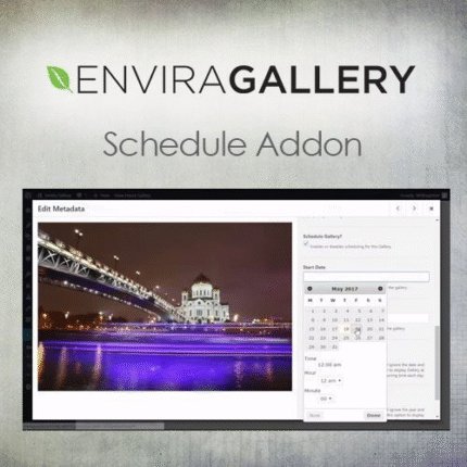 Envira Gallery Protection Addon