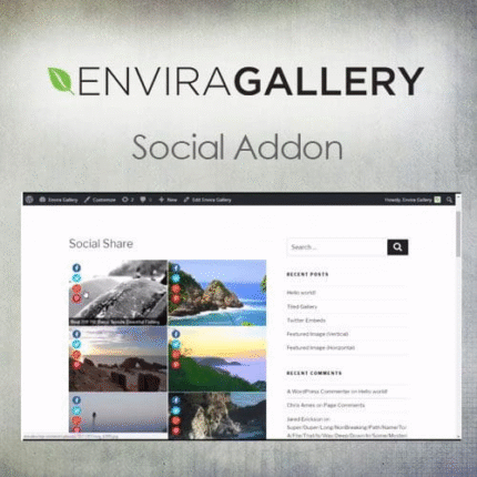 Envira Gallery Social Addon