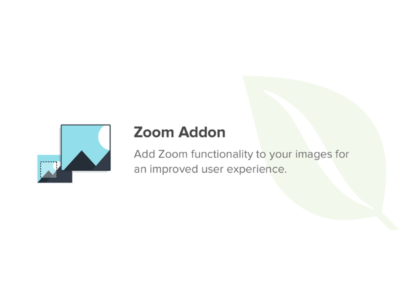 Envira Gallery Zoom Addon