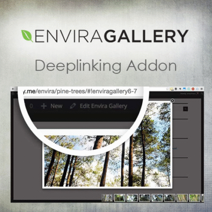 Envira gallery deeplinking addon