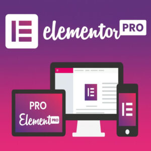 PRO Elements for Elementor