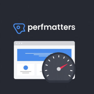 Perfmatters: Ultimate Website Speed Optimization WordPress Plugin