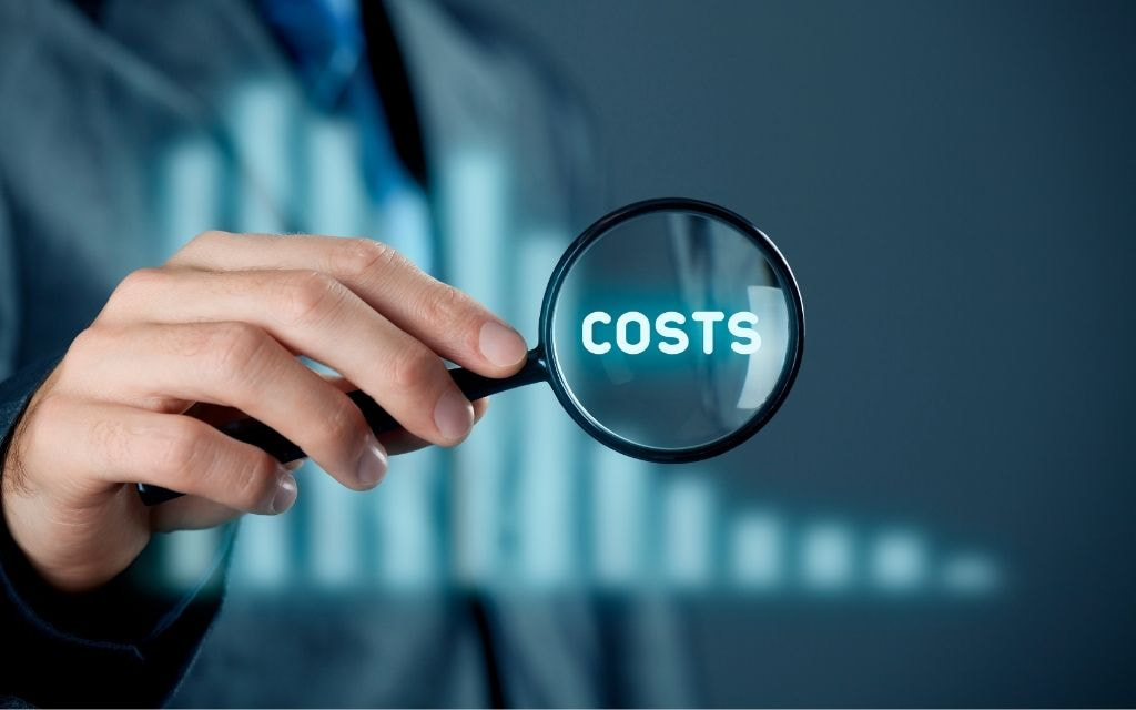 Budget Considerations and Long-term Costs