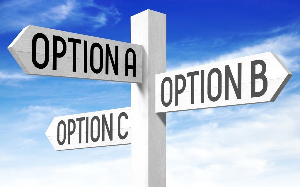 Free Plugin Options