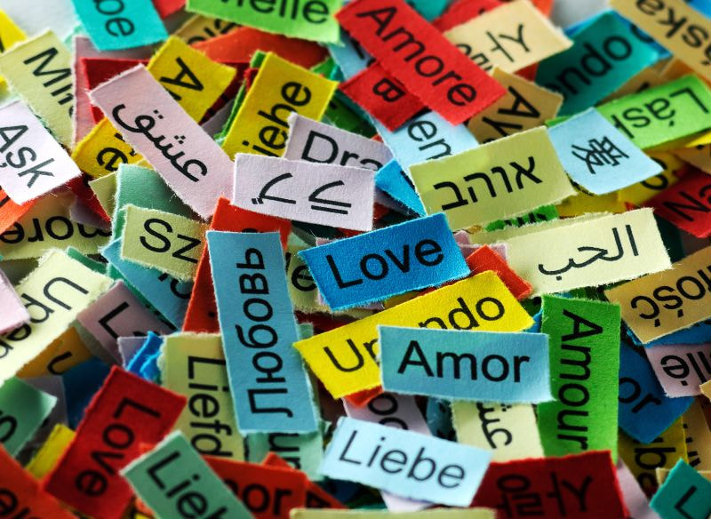 Key Features Every Multilingual Plugin Should Have