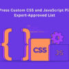 WordPress Custom CSS and JavaScript Plugins Expert-Approved List