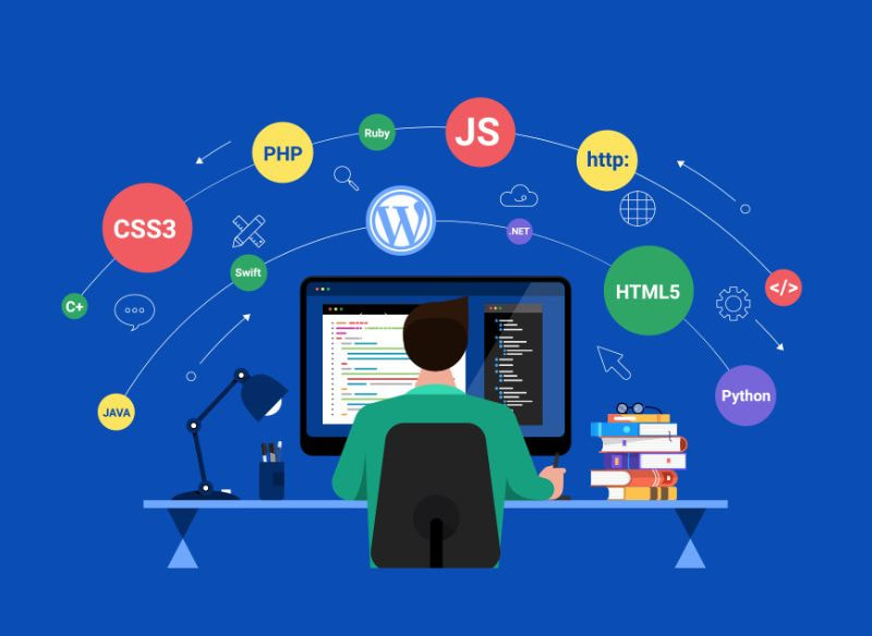 WordPress Developers